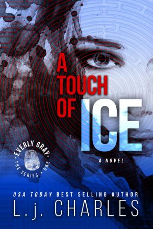 Book cover of a Touch of Ice