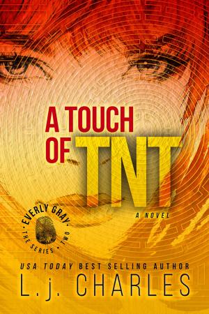 Book cover of a Touch of TNT