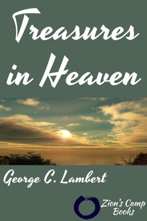 Cover of Treasures in Heaven