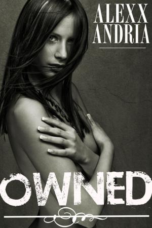 Cover of the book Owned by Alexx Andria
