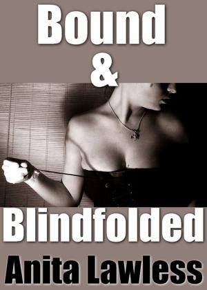 Cover of the book Bound & Blindfolded by G. L. Leigh