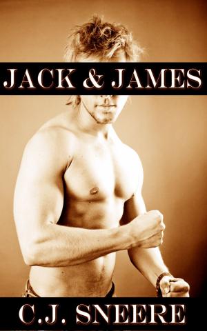 Cover of the book Jack & James (Jack The Lad Part 2) by Anita Lawless, Roxxy Meyer, C.J. Sneere