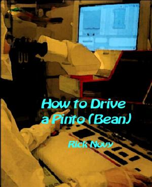 Cover of the book How to Drive a Pinto (Bean) by Carole Mortimer