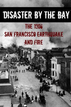 Cover of the book Disaster By the Bay: The 1906 San Francisco Earthquake and Fire by Stephen Clarkson