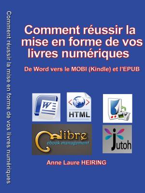 Book cover of Comment reussir la mise en forme de vos livres numeriques - De Word vers le MOBI (Kindle) et l'EPUB