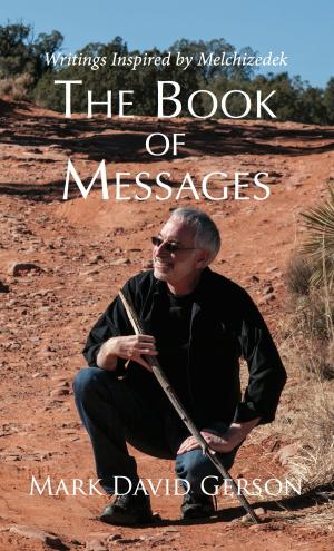 Cover of the book The Book of Messages by Victoria Gallagher