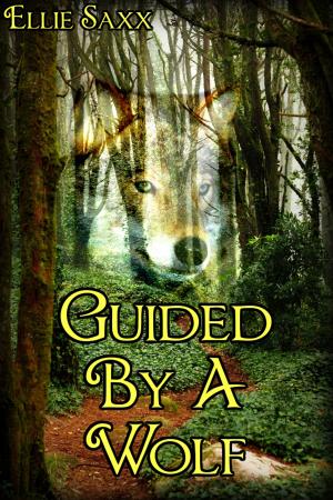 Book cover of Guided By A Wolf