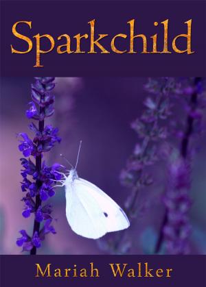 Cover of Sparkchild (Book One)
