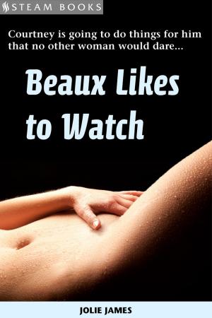 Cover of the book Beaux Likes to Watch by Misty Springfield, Steam Books