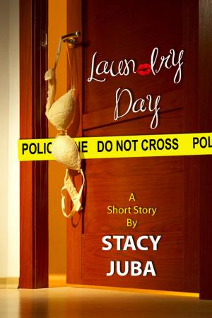 Book cover of Laundry Day (Short Story Plus Stacy Juba Mystery Sampler)