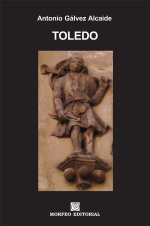 Cover of the book Toledo by Antonio Gálvez Alcaide