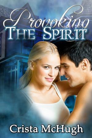Book cover of Provoking the Spirit