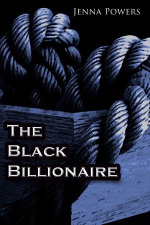 Book cover of The Black Billionaire