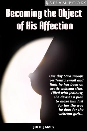 Cover of the book Becoming the Object of His Affection by Annette Archer, Steam Books
