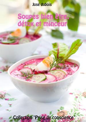 Cover of the book Soupes bien etre, detox et minceur by Erica Adams