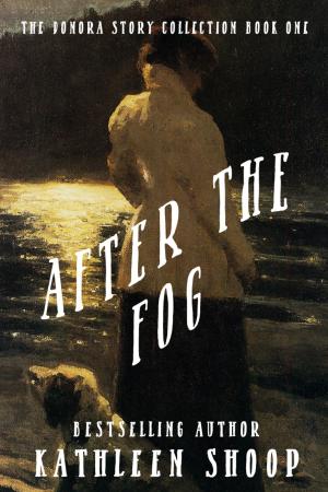 Book cover of After the Fog
