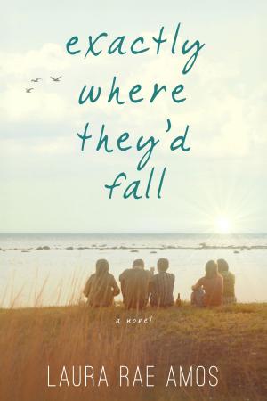 Cover of the book Exactly Where They'd Fall by Rebecca James