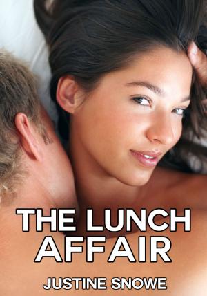 Book cover of The Lunch Affair