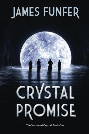 Cover of the book Crystal Promise by Chris Thompson