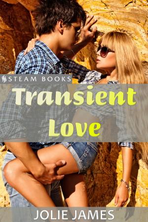 Cover of the book Transient Love by Logan Woods, Jolie James, Steam Books