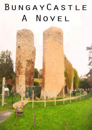 bigCover of the book Bungay Castle by 