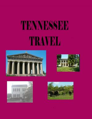 Book cover of Tennessee Travel