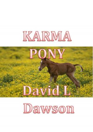 Cover of the book Karma Pony by Daniel Tobias Lewis-dayle