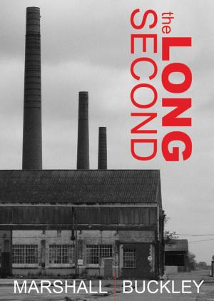 bigCover of the book The Long Second by 
