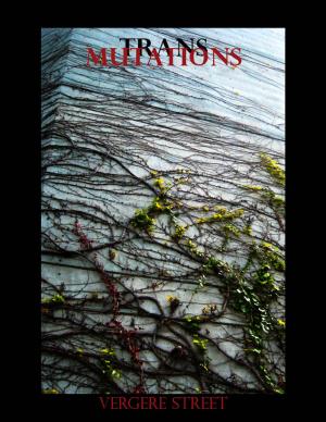 Cover of the book Transmutations by Harley Stone