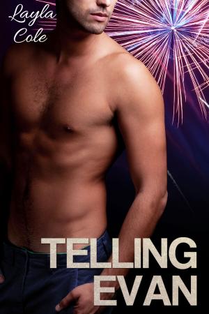 Book cover of Telling Evan