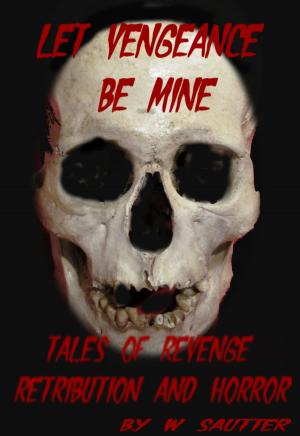 Cover of the book Let Vengeance Be Mine by Dan McMartin, Paranormal Thriller