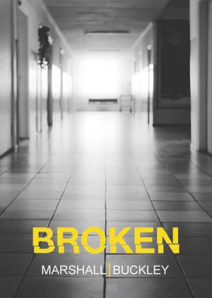Cover of the book Broken by Marie d'Ange