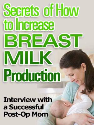 Cover of the book Secrets of How to Increase Breast Milk Production by Anne Noble