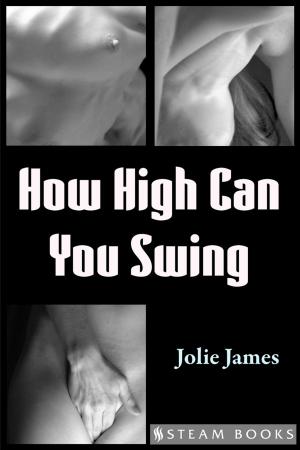 Cover of the book How High Can You Swing by Marus Williams, Steam Books