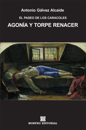 Cover of the book Agonía y torpe renacer by Rae Hendricks