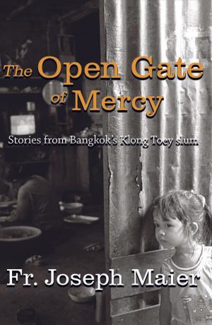 Cover of the book The Open Gate of Mercy by John Hail