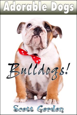 Cover of the book Adorable Dogs: Bulldogs! by Scott Gordon