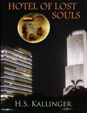 Book cover of Hotel of Lost Souls