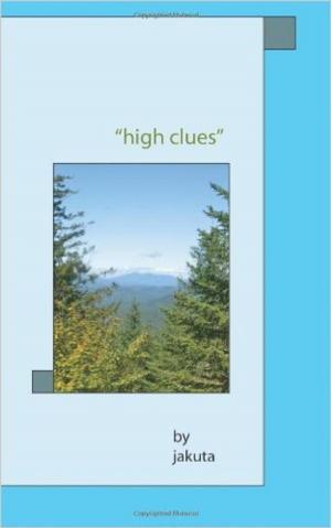 Cover of the book "high clues" by Cory Anne Stickel