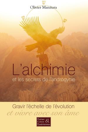 Book cover of L'alchimie et les secrets de l'androgynie