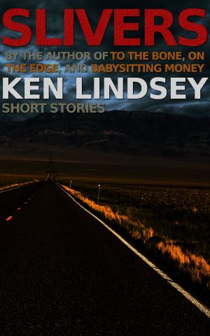 Cover of the book Slivers by Ken