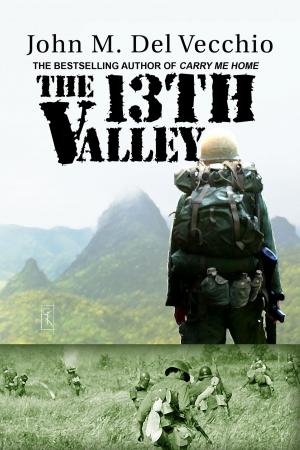 Cover of The 13th Valley