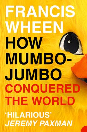 Cover of the book How Mumbo-Jumbo Conquered the World: A Short History of Modern Delusions by Brigid Moss