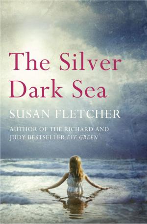 Book cover of The Silver Dark Sea