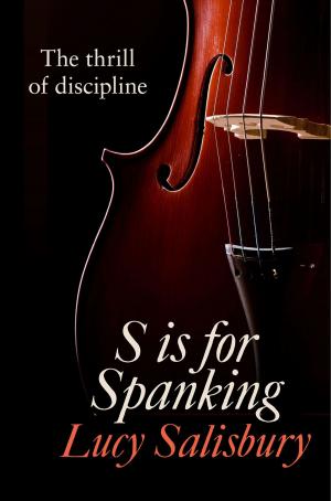Book cover of S is for Spanking