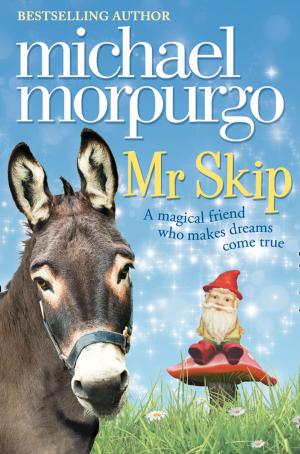 Book cover of Mr Skip