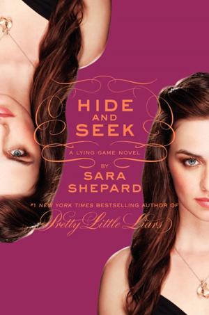 Book cover of The Lying Game #4: Hide and Seek