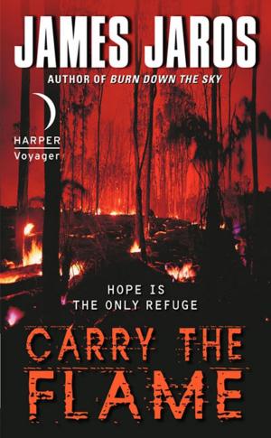 bigCover of the book Carry the Flame by 