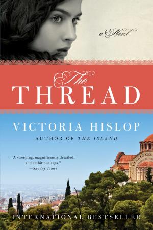 Cover of the book The Thread by Antonio Manzini