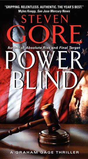 bigCover of the book Power Blind by 